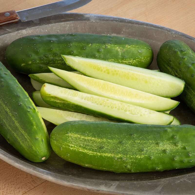 Citadel Pickling Cucumbers