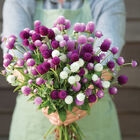 Audray Mix Audray Mix Gomphrena (Globe Amaranth)