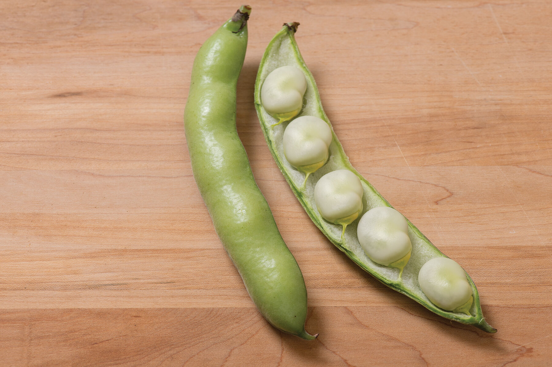 Vroma Fava Beans