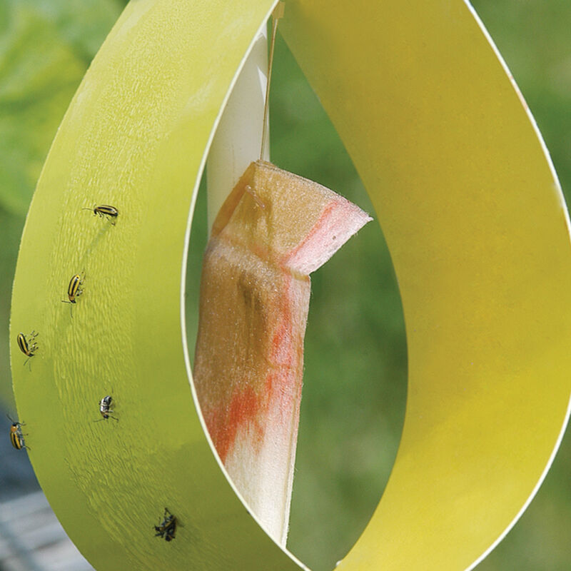 Sticky Yellow Traps – 5 Count Sticky Yellow Traps – 5 Count Lures and Traps