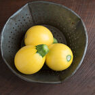 One Ball Summer Squash