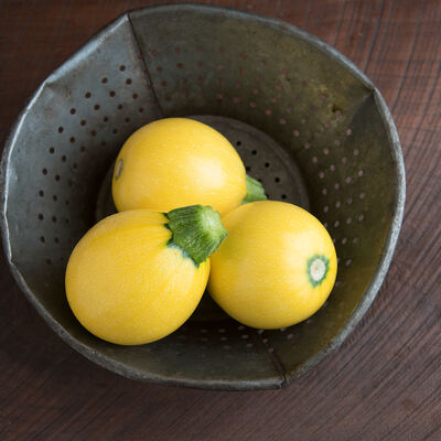 One Ball Summer Squash