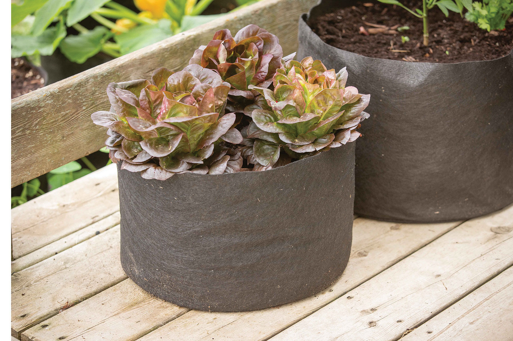 Smart Pot&reg; &ndash; 7 Gal. Grow Bags