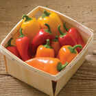 Lunchbox Pepper Mix Sweet Peppers