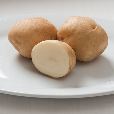 Superior Potatoes