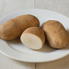 Caribou Russet Potatoes