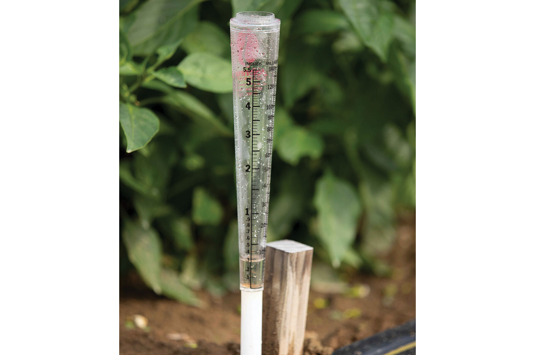 Rain gauges deals