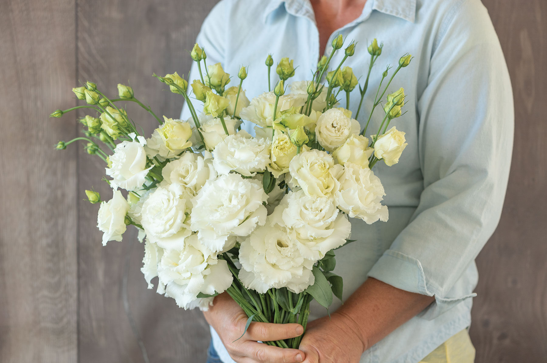 Lisianthus white shop