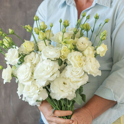 Voyage 2 White Improved Lisianthus