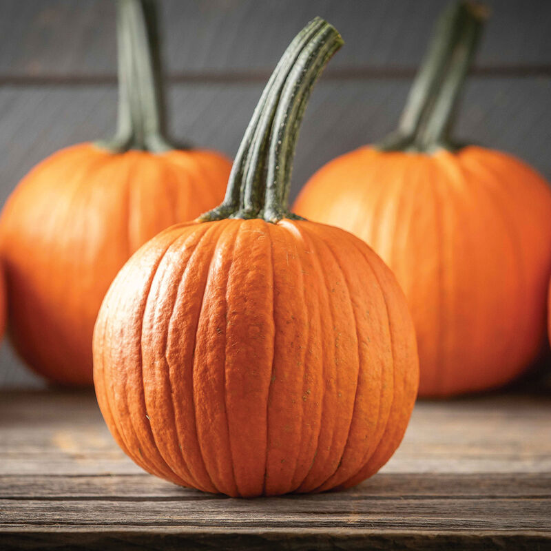 Jack of Hearts Jack-o-Lanterns