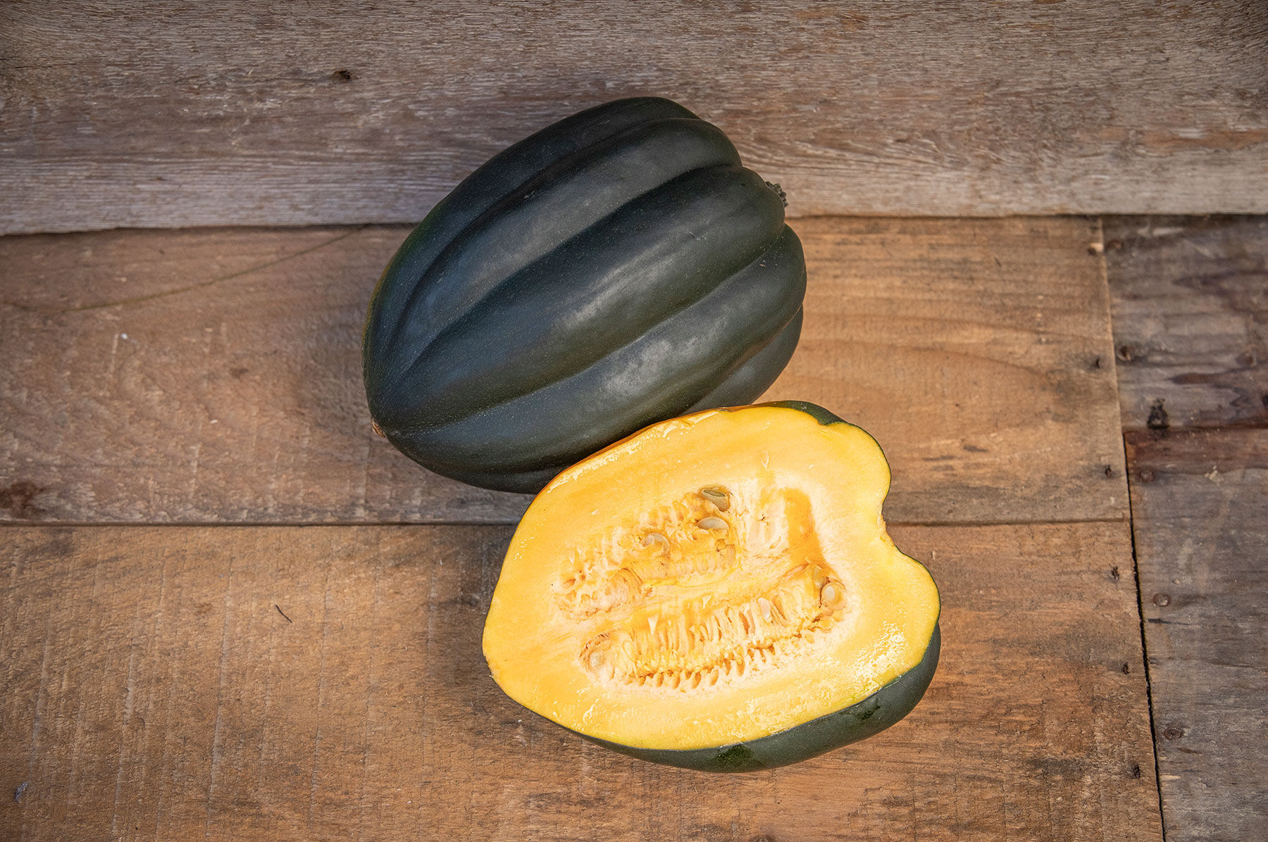 Autumn Delight - (F1) Acorn Squash Seed | Johnny's Selected Seeds