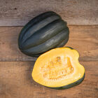 Autumn Delight Winter Squash
