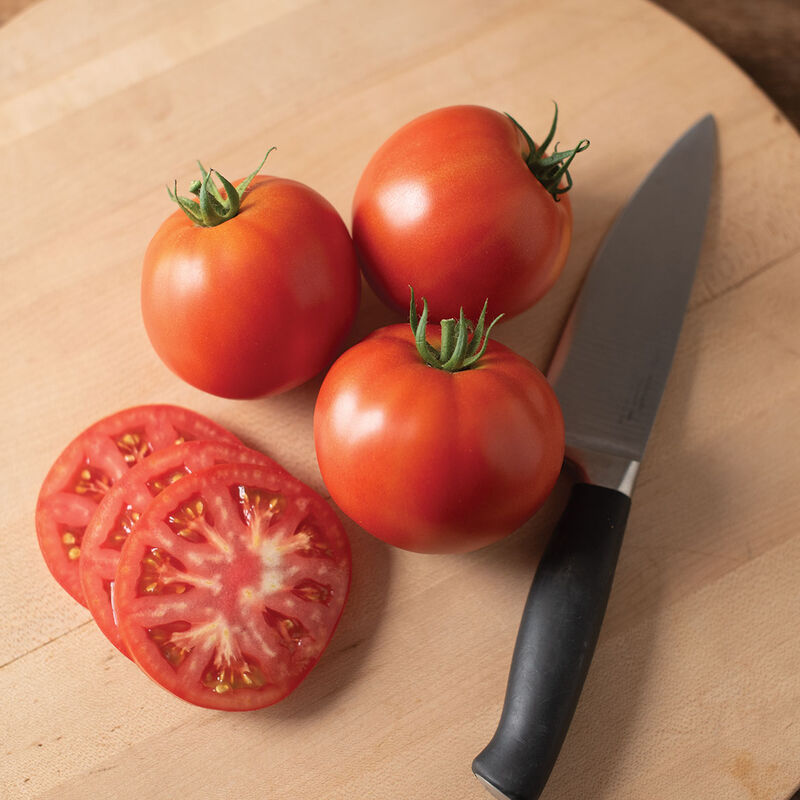 RuBee Dawn Slicing Tomatoes