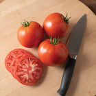 RuBee Dawn Slicing Tomatoes