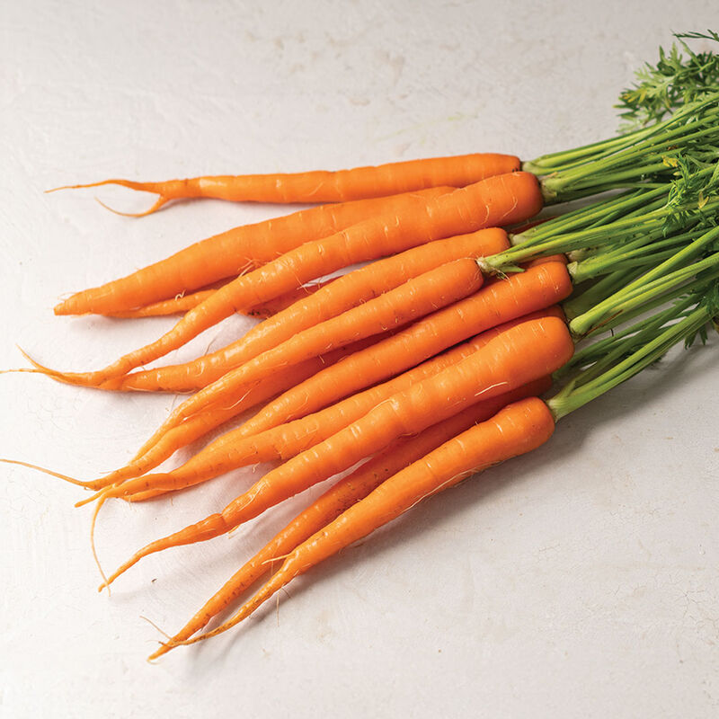 Sugarsnax 54 Main Crop Carrots