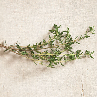 Summer Summer Thyme