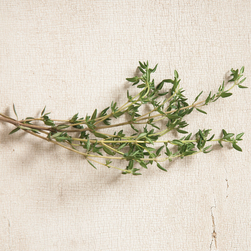 Summer Summer Thyme
