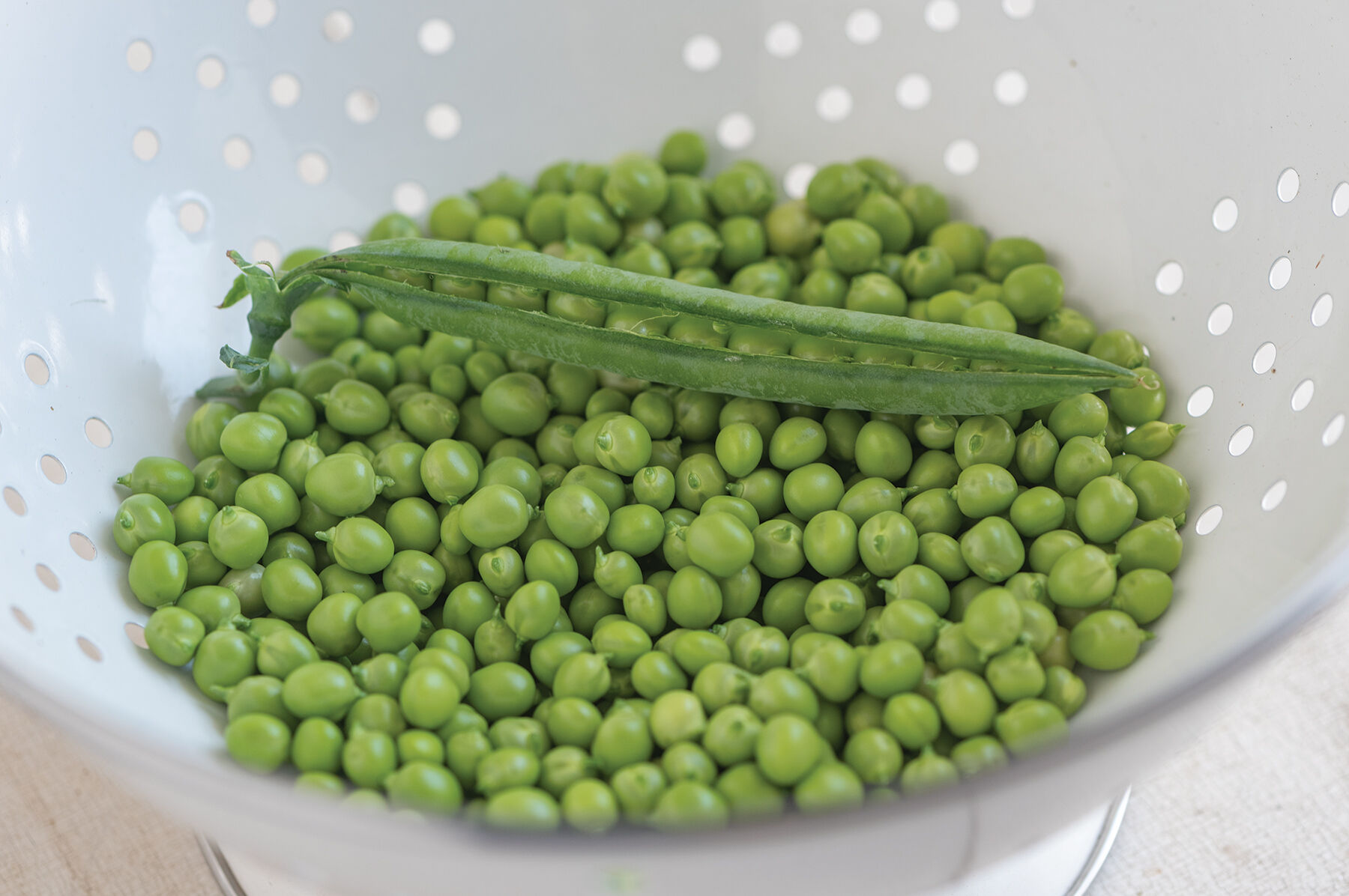 PLS 595 - Pea Seed | Johnny's Selected Seeds
