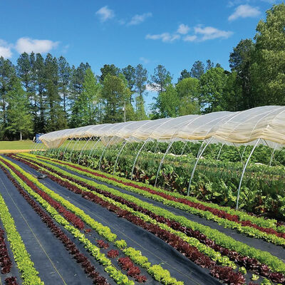 Sunbelt Black Ground Cover – 6' x 300' Sunbelt Black Ground Cover – 6' x 300' Fabric Mulch