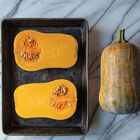 Honeynut Honeynut Winter Squash