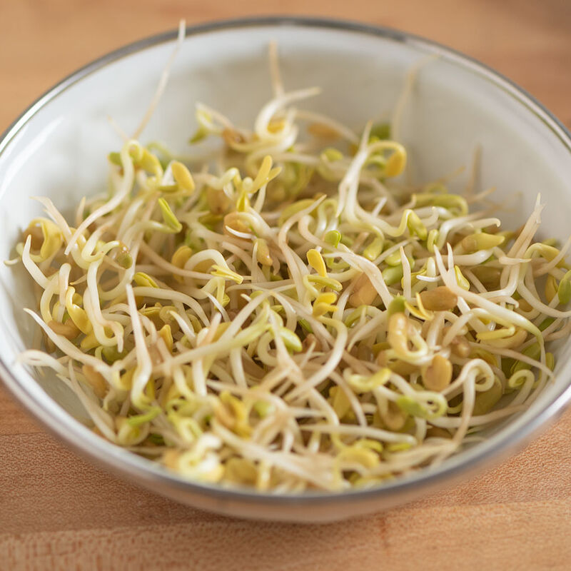 Fenugreek Fenugreek Sprouts