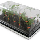 Side-Grafting Starter Kit Seed Starting Supplies