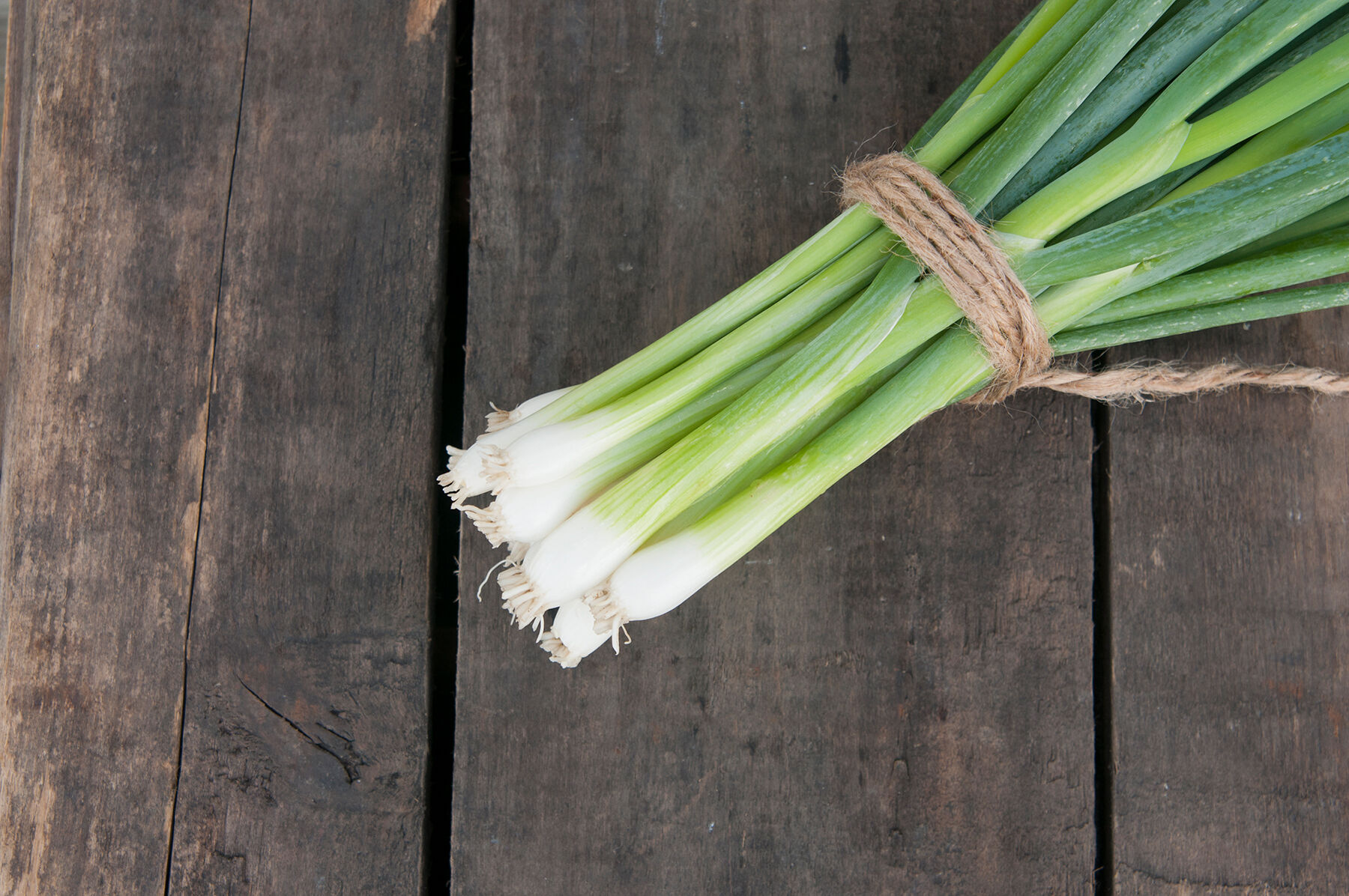 White Spear Bunching Onions