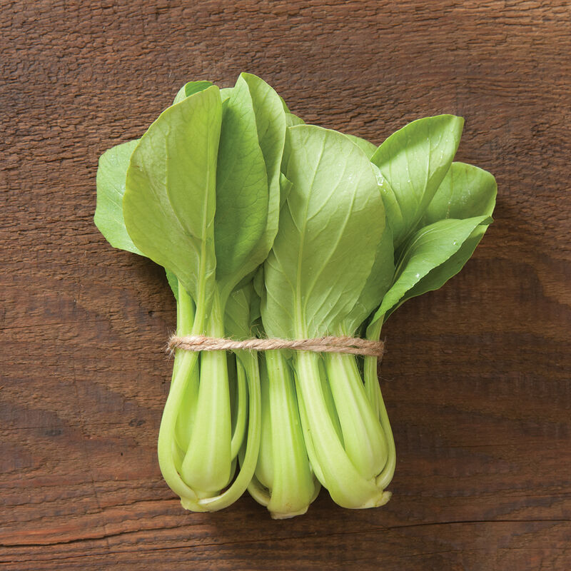 Mei Qing Choi Pac Choi (Bok Choy)