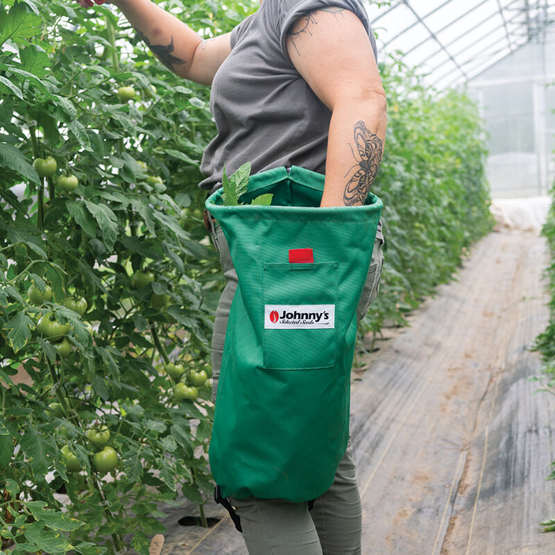 https://www.johnnyseeds.com/dw/image/v2/BJGJ_PRD/on/demandware.static/-/Sites-jss-master/default/dw5a18d981/images/products/tools/06231_01_johnnys_pruning_bag.jpg?sw=800&sh=800