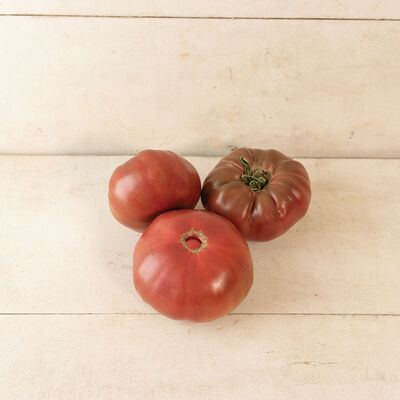 Marnouar Beefsteak Tomatoes