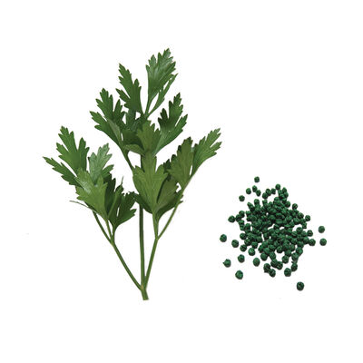 Giant of Italy Leaf Parsley