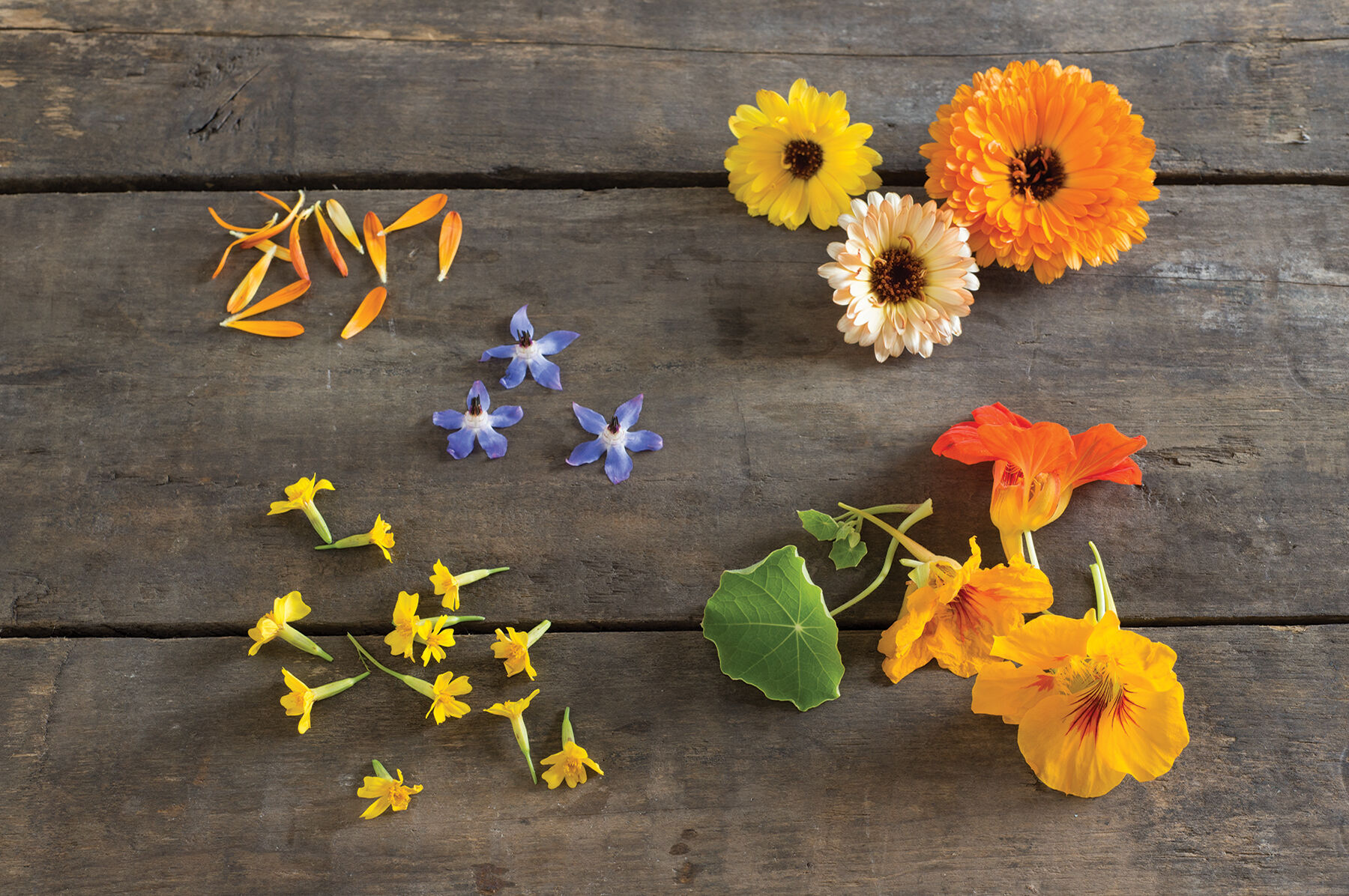 Edible Flower Collection Flower Collections and Mixes