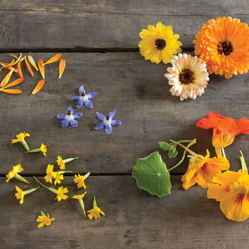 Edible Flower Collection Flower Collections and Mixes