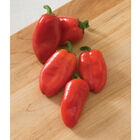 Lunchbox Red Sweet Peppers