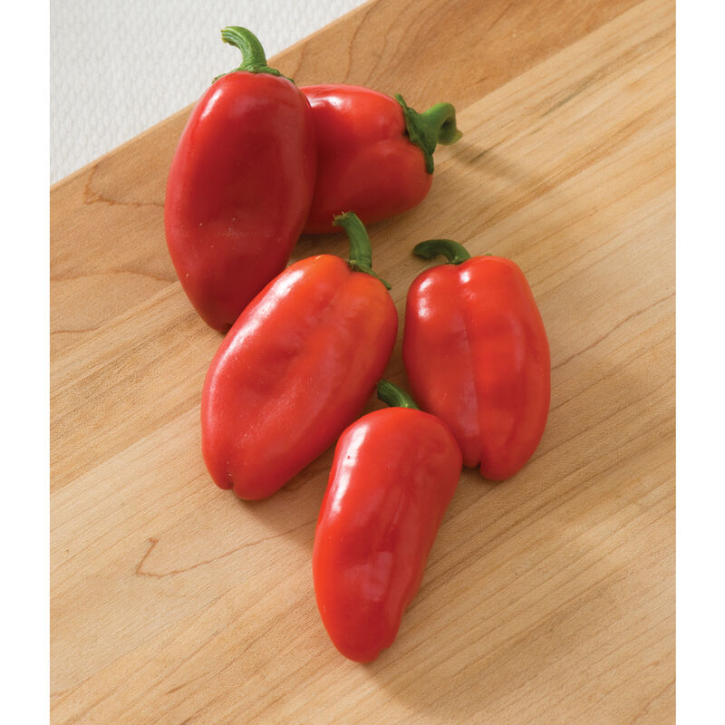 Lunchbox Red Sweet Peppers