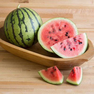 Starlight Diploid Watermelons