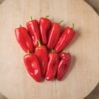 SVPS0897 Sweet Peppers