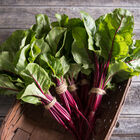 Fresh Pak Beet Greens
