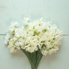 Spencer Ice Cream Sweet Peas