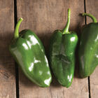 Bastan Hot Peppers