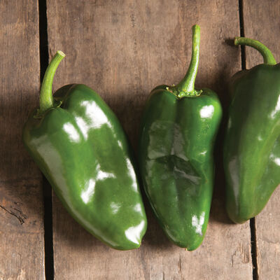 Bastan Hot Peppers