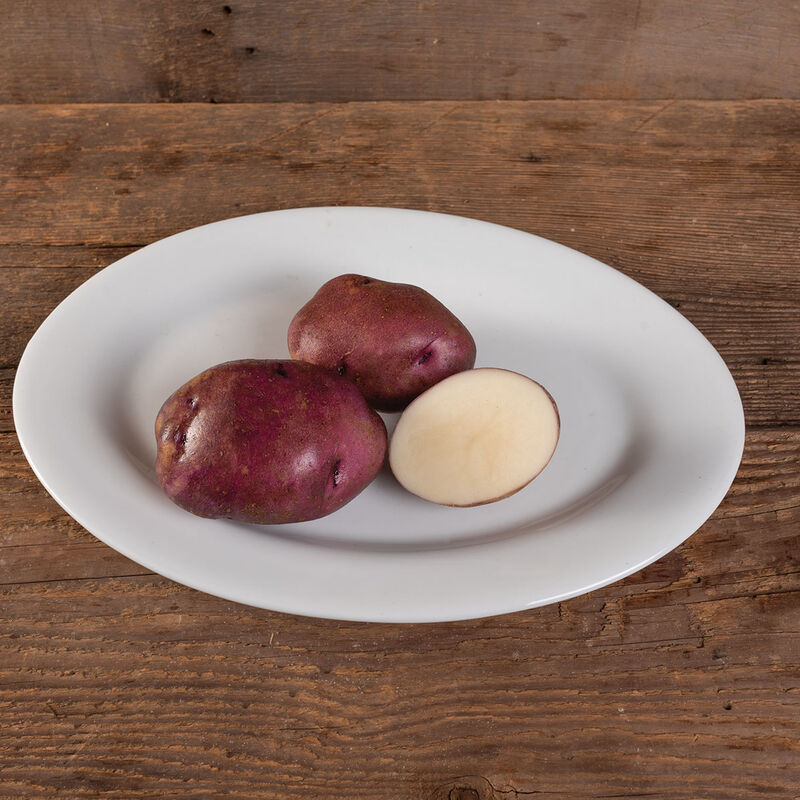 Caribe Organic Seed Potatoes Johnny's Selected Seeds