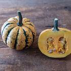 Honey Bun Winter Squash