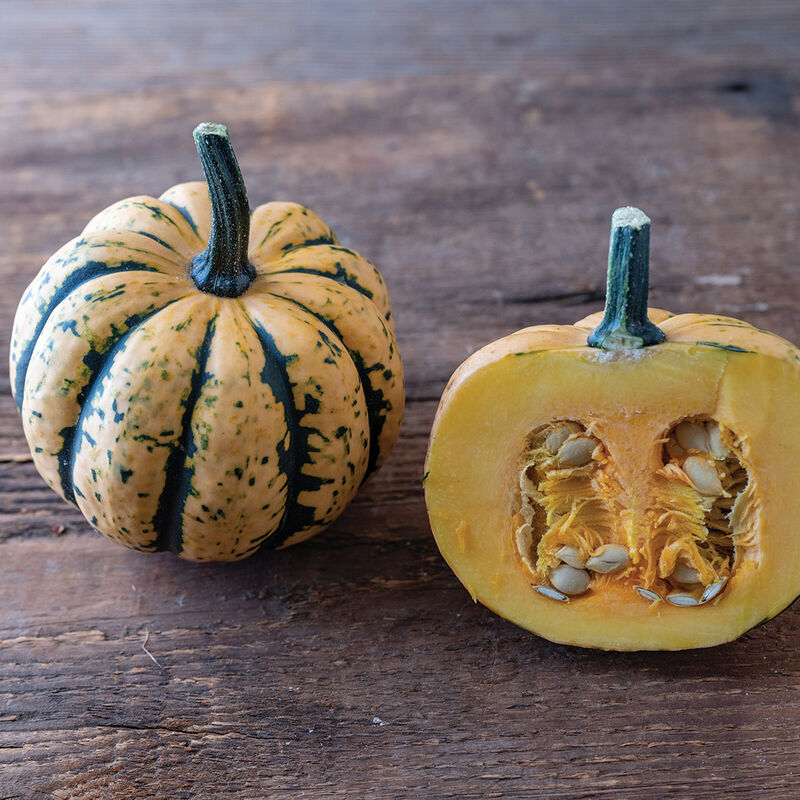Honey Bun Winter Squash