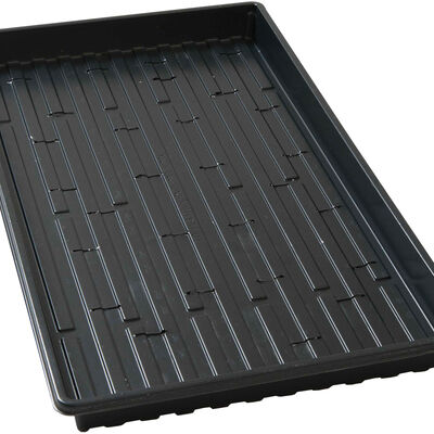 Lightweight Shallow Trays (with Holes) – 100 Count Support Trays