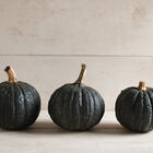 Tetsukabuto Winter Squash