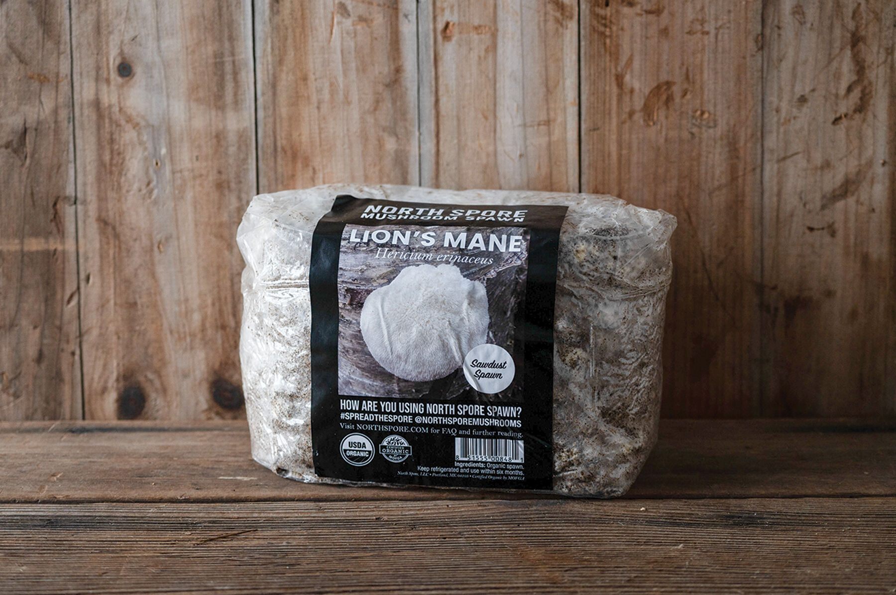 Lion's Mane Sawdust Spawn - Organic Mushrooms | Johnny's Selected Seeds Lion's Mane Sawdust Spawn - Organic Mushrooms | Johnny's Selected Seeds