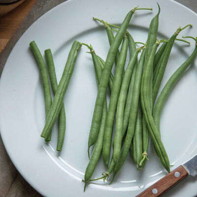 Seychelles Pole Beans