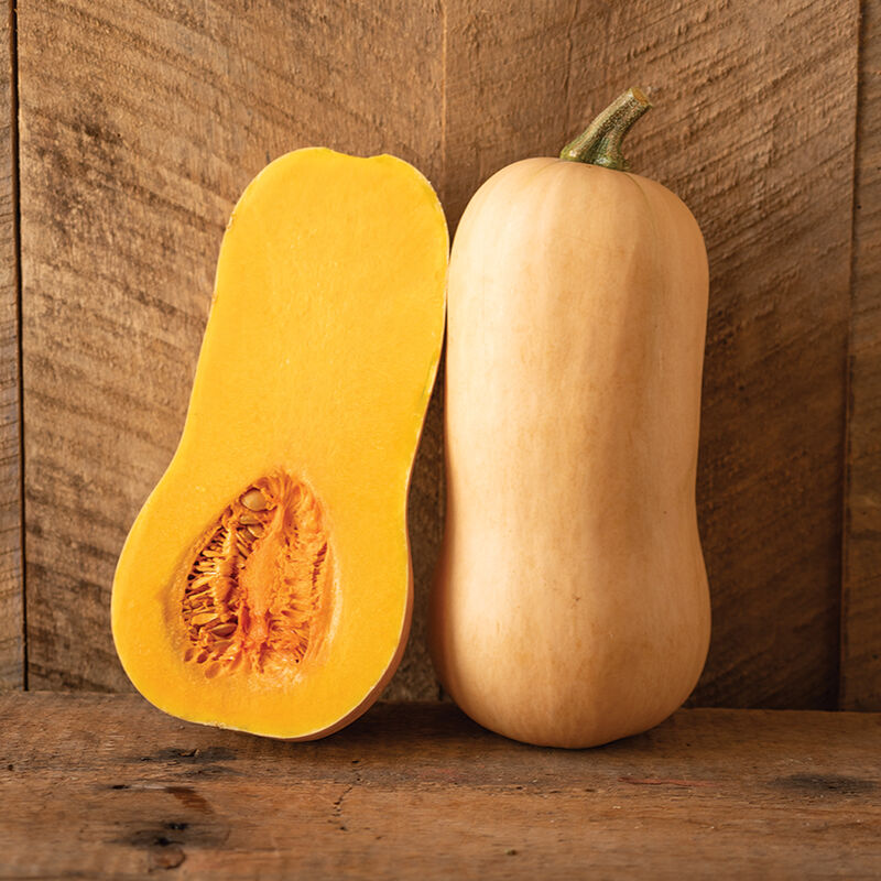 Block Party Winter Squash