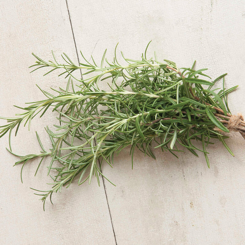 Rosemary Rosemary